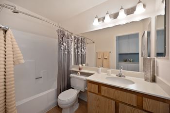 a bathroom with a sink and a toilet and a shower